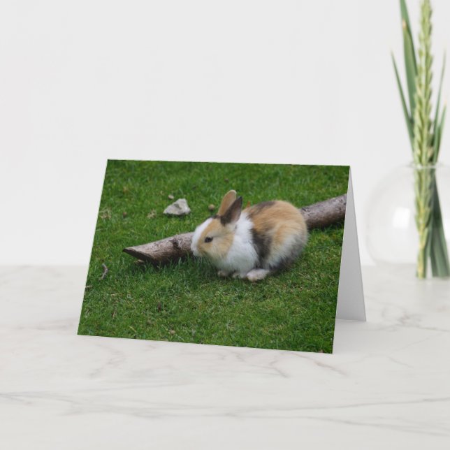 Sweet Baby Rabbit Holiday Card (Front)