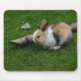 Sweet Baby Rabbit Mouse Pad