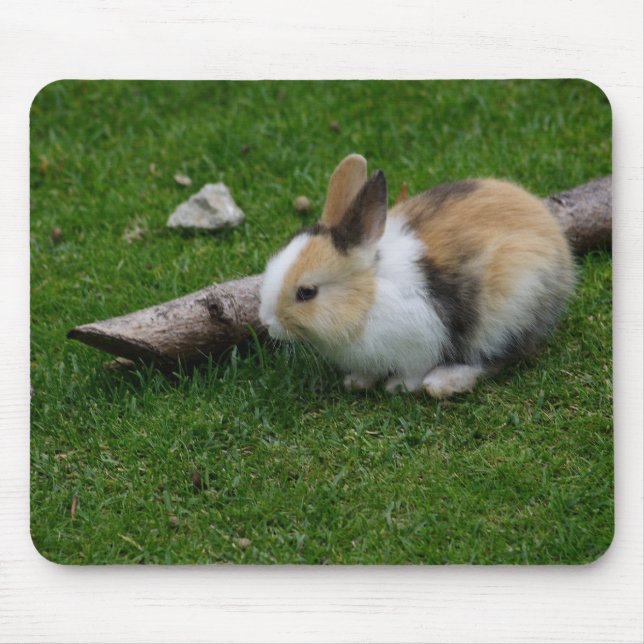 Sweet Baby Rabbit Mouse Pad (Front)