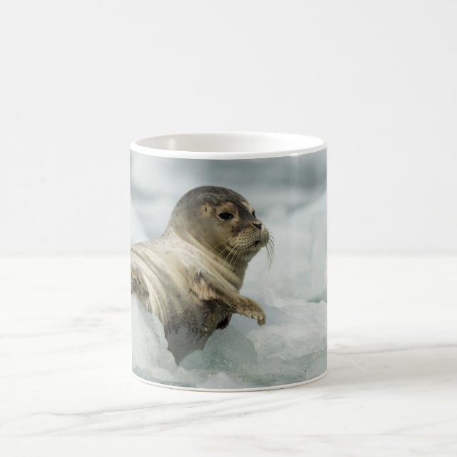 Sweet Baby Seal Coffee Mug (Center)