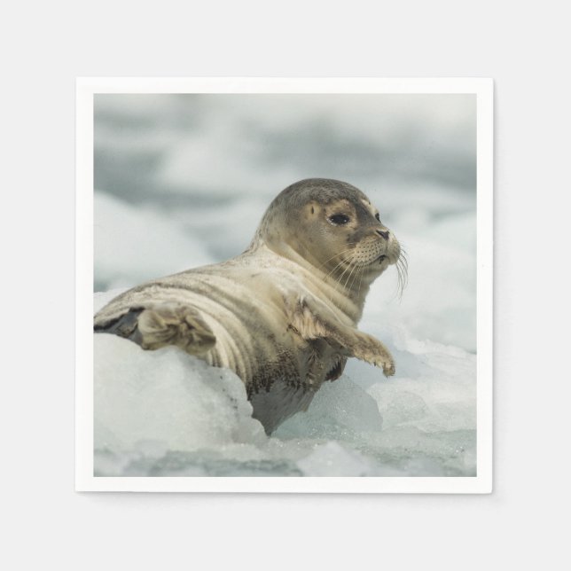 Sweet Baby Seal Napkins (Front)