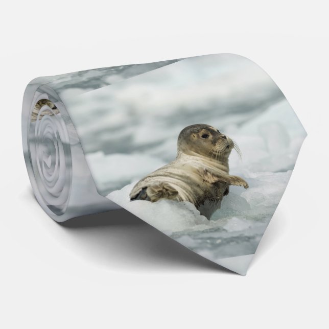 Sweet Baby Seal Neck Tie (Rolled)