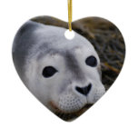 Sweet Baby Seal Ornament