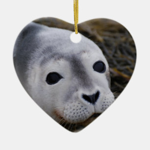 Sweet Baby Seal Ornament
