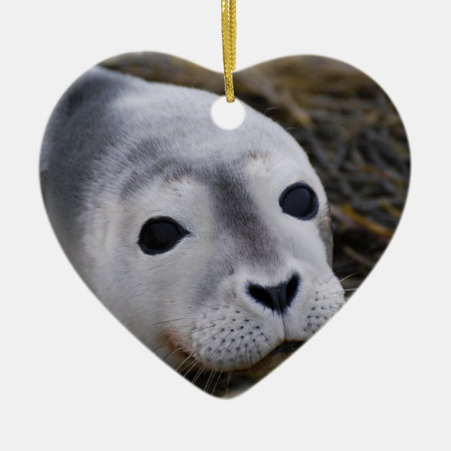 Sweet Baby Seal Ornament (Front)