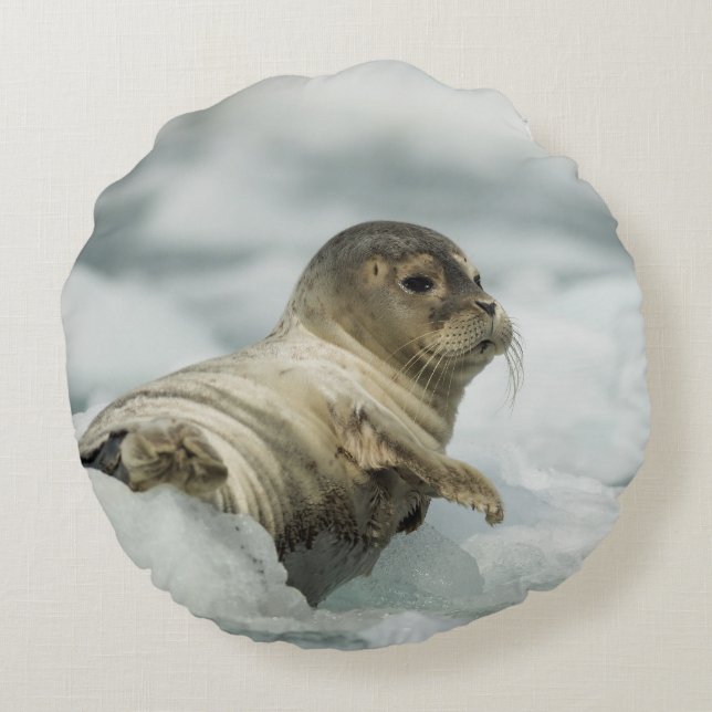 Sweet Baby Seal Round Pillow (Back)