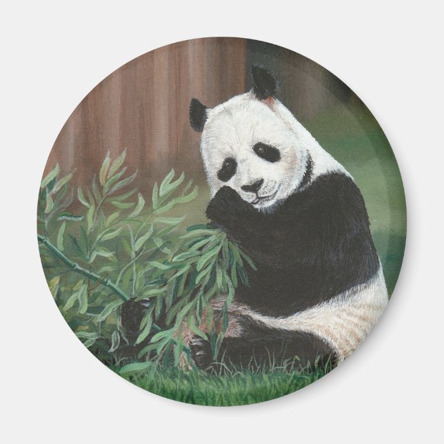 Sweet Bamboo Panda Bear magnet (Front)