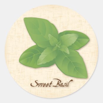 Sweet Basil Herb Classic Round Sticker by pomegranate_gallery at Zazzle