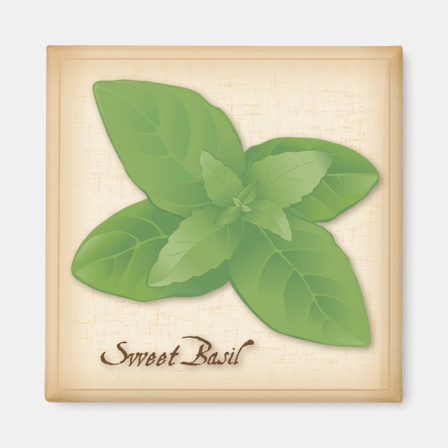 Sweet Basil Herb Magnet (Front)