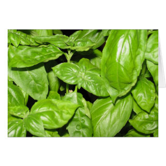 Sweet Basil, Sweet Life Cards