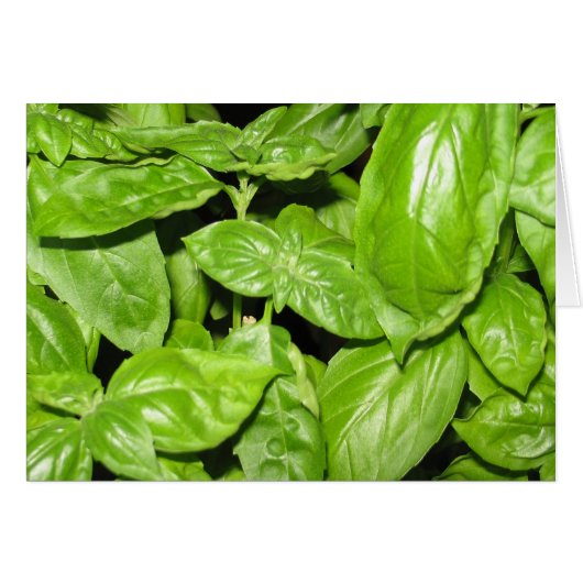 Sweet Basil, Sweet Life Cards (Front Horizontal)