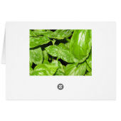Sweet Basil, Sweet Life Cards (Back Horizontal)