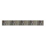 Sweet Basset Hound Grosgrain Ribbon