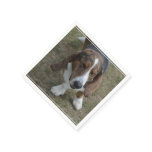 Sweet Basset Hound Paper Napkins