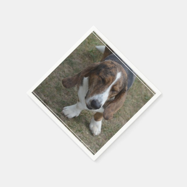Sweet Basset Hound Paper Napkins (Corner)