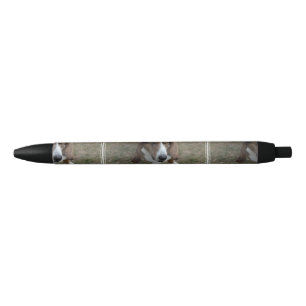 Sweet Basset Hound Pen