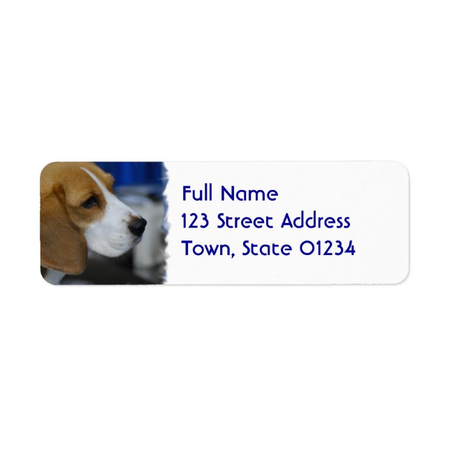 Sweet Beagle Label (Front)