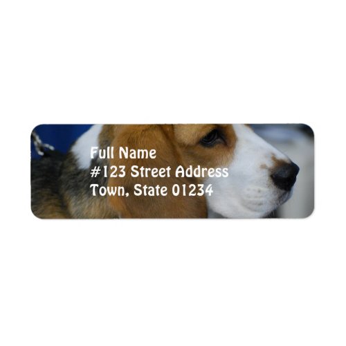 Sweet Beagle Label