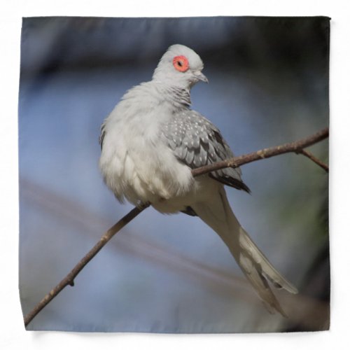 Sweet Beautiful Diamond Dove Bandana