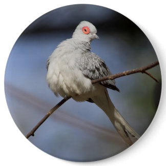 Sweet Beautiful Diamond Dove Button