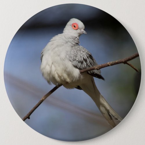 Sweet Beautiful Diamond Dove Button