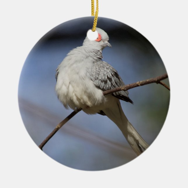 Sweet Beautiful Diamond Dove Ceramic Ornament (Front)