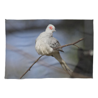 Sweet Beautiful Diamond Dove Kitchen Towel