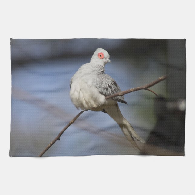 Sweet Beautiful Diamond Dove Kitchen Towel (Horizontal)