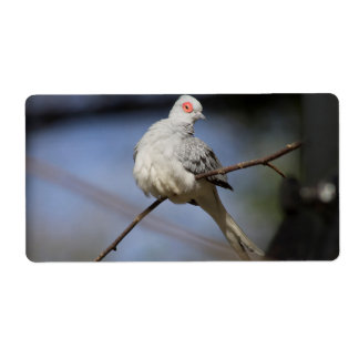 Sweet Beautiful Diamond Dove Label