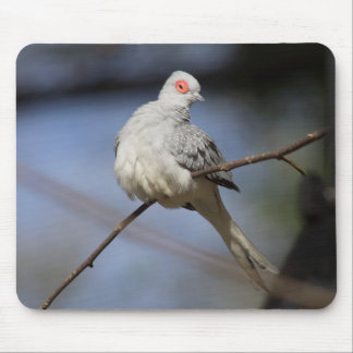 Sweet Beautiful Diamond Dove Mouse Pad
