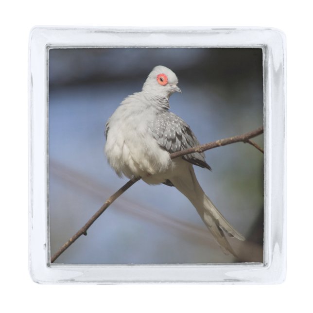 Sweet Beautiful Diamond Dove Silver Finish Lapel Pin (Front)