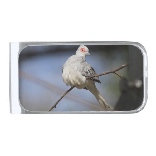 Sweet Beautiful Diamond Dove Silver Finish Money Clip