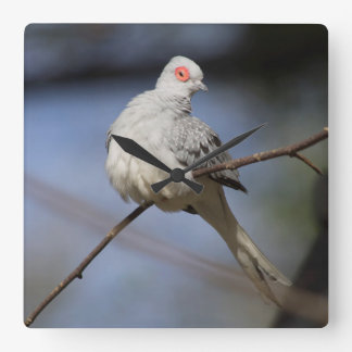 Sweet Beautiful Diamond Dove Square Wall Clock