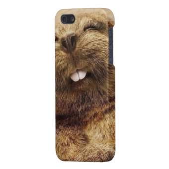 Sweet Beaver iPhone Case | Zazzle
