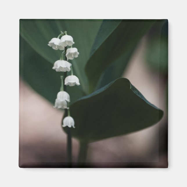 Sweet Bells Magnet (Front)