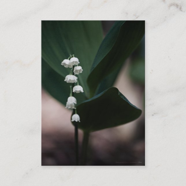 Sweet Bells Mini Print Business Card (Front)