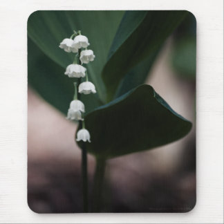 Sweet Bells Mousepad