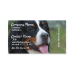 Sweet Bernese Business Cards