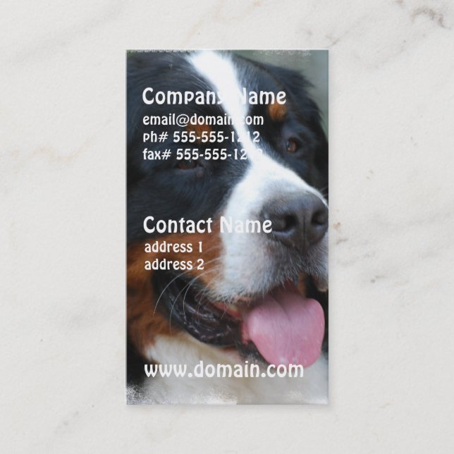 Sweet Bernese Business Cards (Front)