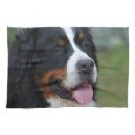 Sweet Bernese Kitchen Towel