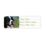 Sweet Bernese Mailing Labels