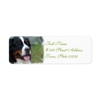 Sweet Bernese Mailing Labels by DogPoundGifts at Zazzle