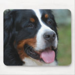 Sweet Bernese Mouse Pad