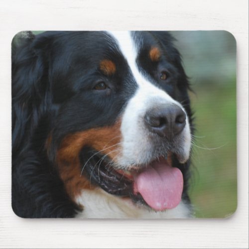 Sweet Bernese Mouse Pad