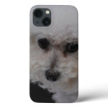 Sweet Bichon Frise iPhone 13 Case