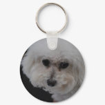 Sweet Bichon Frise Keychain