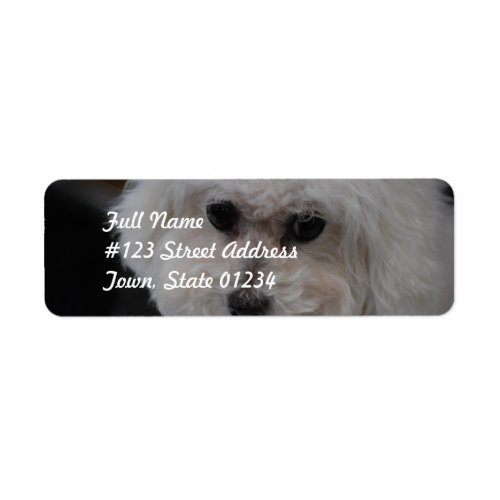 Sweet Bichon Frise Label