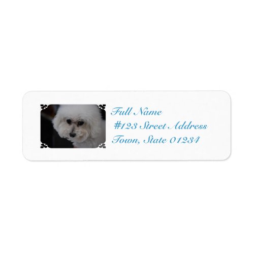 Sweet Bichon Frise Label