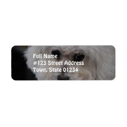 Sweet Bichon Frise Label