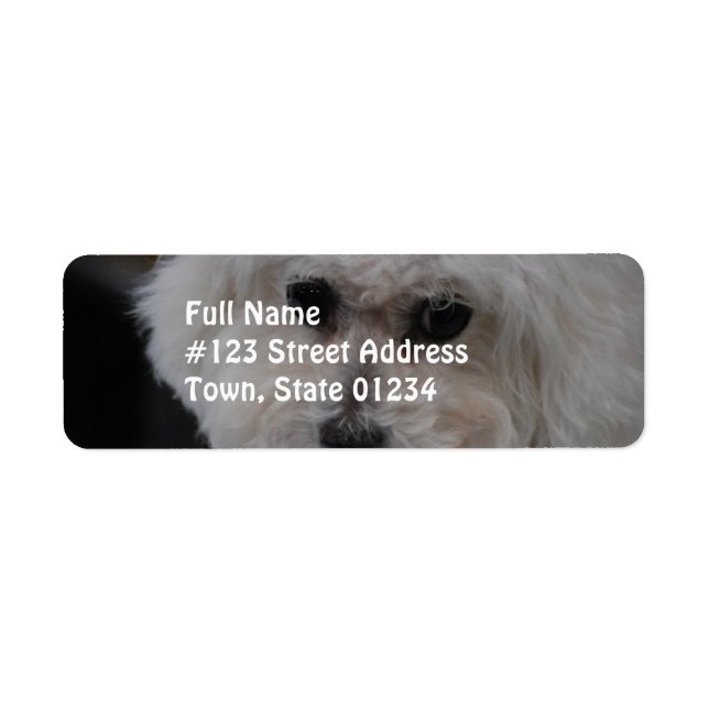Sweet Bichon Frise Label (Front)